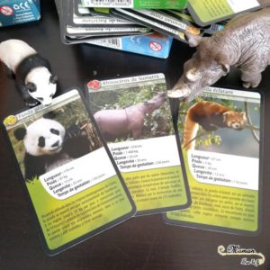 Jeu de société enfants - Test avis des défis nature de bioviva - jeu de cartes bataille autour des animaux, nature, science, géographie - mslf