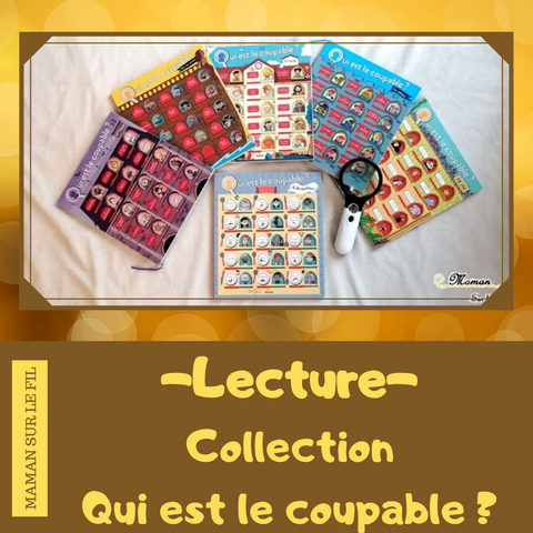 Livre Enfants - Collection Qui est le coupable - Milan - Livre Jeu Enquête - Zoo - Ecole - Manoir Hanté - Pirates - Déduction et Logique - mslf