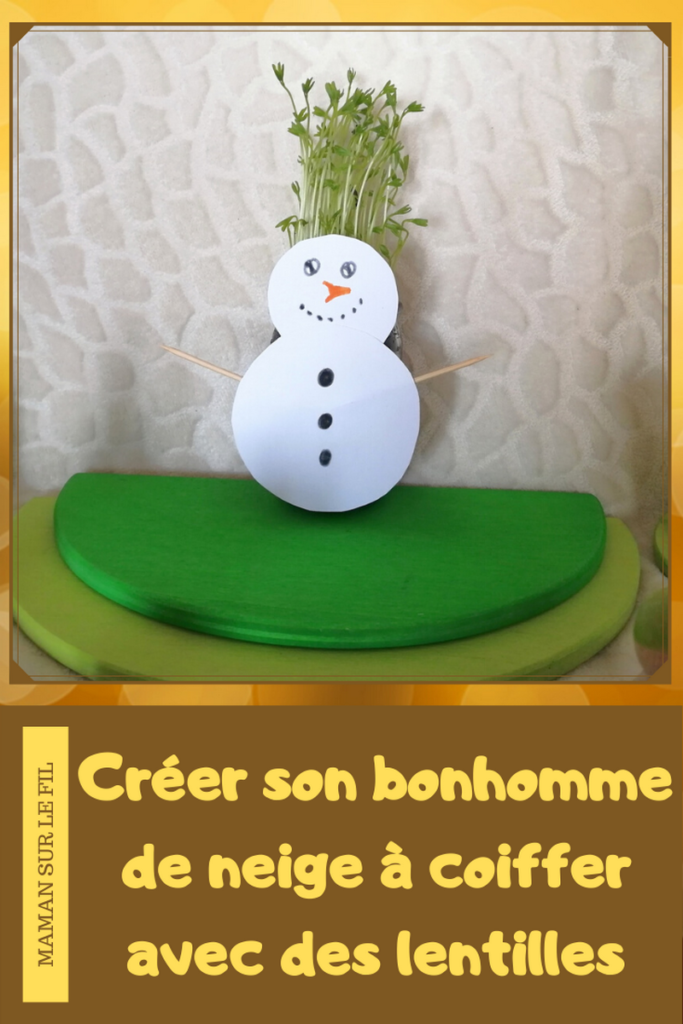 Activité enfants - Créer un bonhomme de neige à coiffer - plantation lentilles - sainte barbe - ciseaux - découper - motricité fine - hiver - mslf