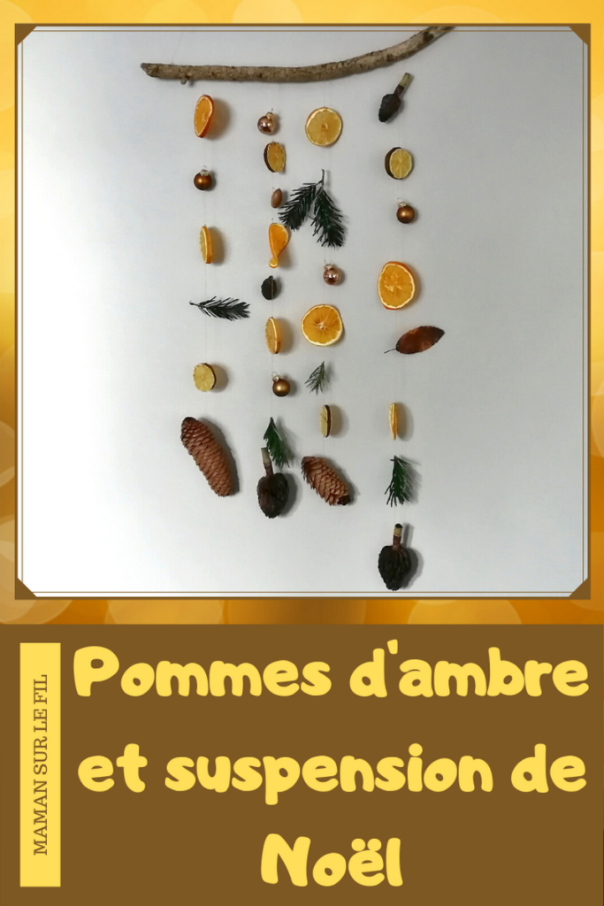 activité enfants - pommes d'ambre - oranges et clous de girofle - suspension DIY Nature - Noël et Hiver - Tranches oranges et citrons séchées - mslf