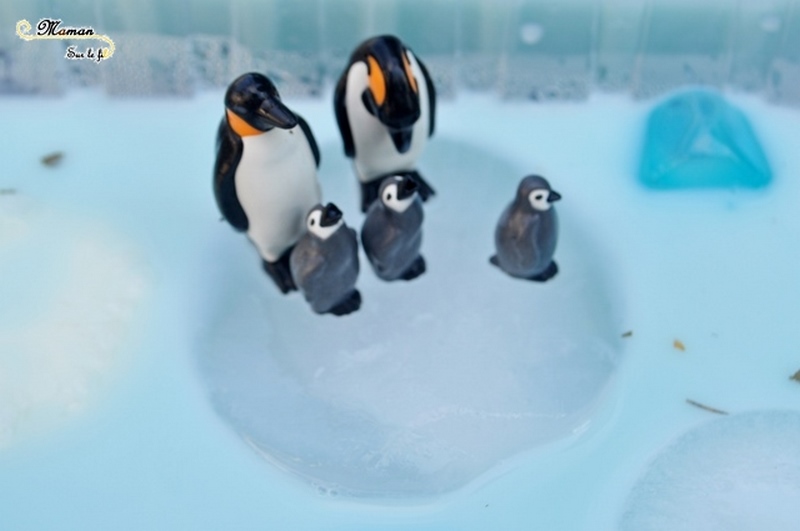 Actiivté enfants - invitation à jouer - plateau et bac sensoriel - Banquise avec glaçons de lait blancs et bleus - eau bleue - Pingouins, phoque, glace et neige - mslf