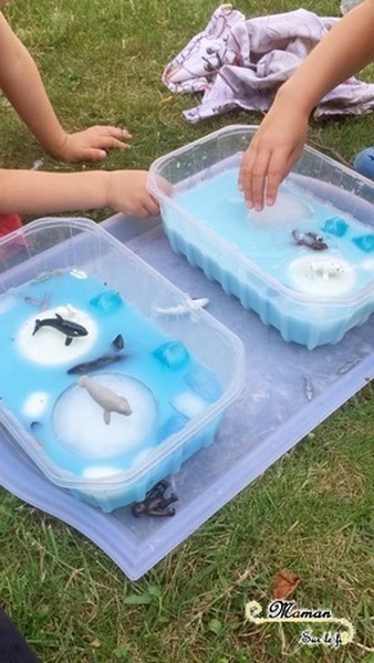 Actiivté enfants - invitation à jouer - plateau et bac sensoriel - Banquise avec glaçons de lait blancs et bleus - eau bleue - Pingouins, phoque, glace et neige - mslf