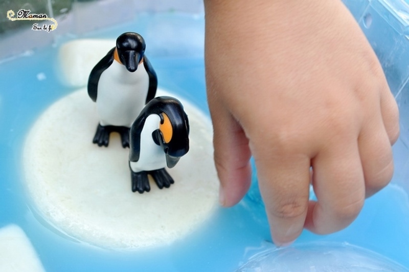 Actiivté enfants - invitation à jouer - plateau et bac sensoriel - Banquise avec glaçons de lait blancs et bleus - eau bleue - Pingouins, phoque, glace et neige - mslf