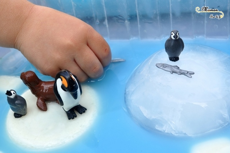 Actiivté enfants - invitation à jouer - plateau et bac sensoriel - Banquise avec glaçons de lait blancs et bleus - eau bleue - Pingouins, phoque, glace et neige - mslf