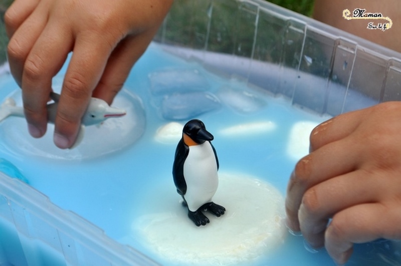 Actiivté enfants - invitation à jouer - plateau et bac sensoriel - Banquise avec glaçons de lait blancs et bleus - eau bleue - Pingouins, phoque, glace et neige - mslf