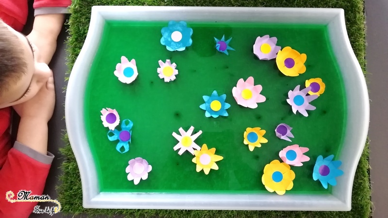 Activité enfants - Faire éclore un champs de fleurs - éclosion - papier - expérience - observation - printemps - rv sur le fil - mslf