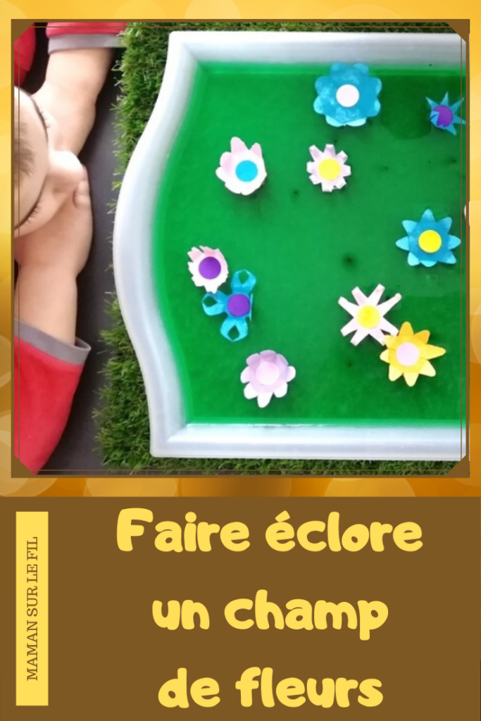 Activité enfants - Faire éclore un champs de fleurs - éclosion - papier - expérience - observation - printemps - rv sur le fil - mslf