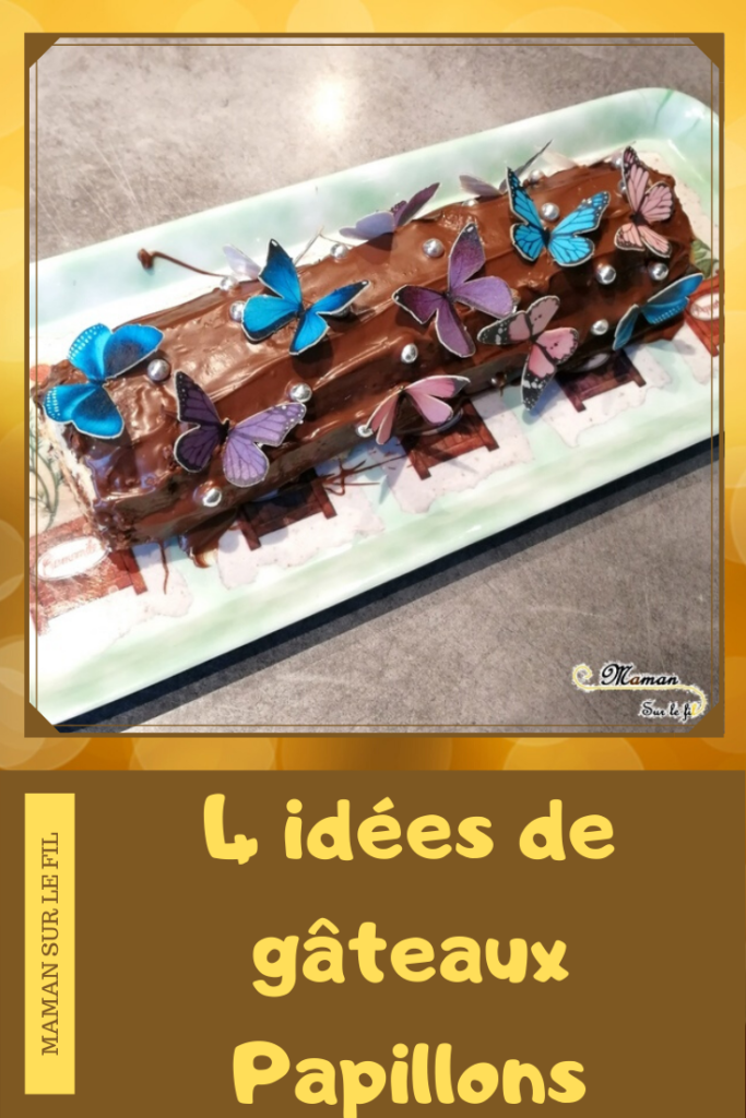 Gâteaux Papillon pour le printemps - idée anniversaire enfants - insectes - ssmarties - chocolat - cake design - mslf