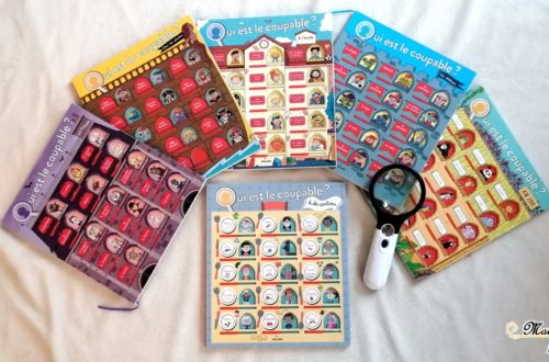 Livre Enfants - Collection Qui est le coupable - Milan - Livre Jeu Enquête - Zoo - Ecole - Manoir Hanté - Pirates - Déduction et Logique - mslf