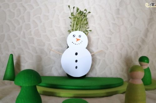 Activité enfants - Créer un bonhomme de neige à coiffer - plantation lentilles - sainte barbe - ciseaux - découper - motricité fine - hiver - mslf