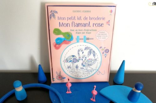 Activité enfants - Mon petit kit de broderie débutants - Mon flamant rose - Guide pas-à-pas - Usborne - test-avis - mslf