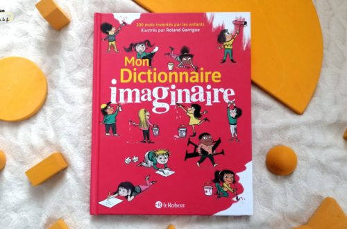 Livre enfants - Mon dictionnaire imaginaire chez Le Robert - mots inventés par les enfants - perles - petits mots - test et avis - mslf