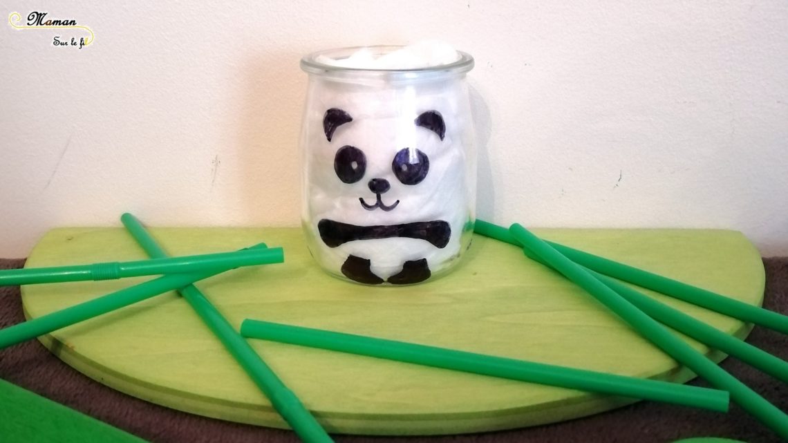 DIY - Pot Panda - Décoration Fait Maison - Chine Asie - Bricolage au feutre sharpie - DIY Simple et rapide - mslf