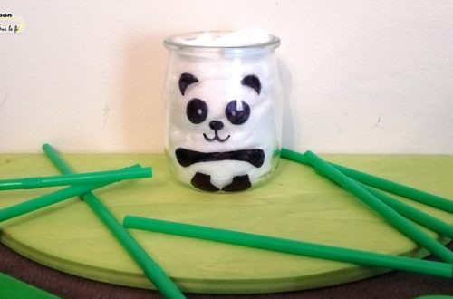 DIY - Pot Panda - Décoration Fait Maison - Chine Asie - Bricolage au feutre sharpie - DIY Simple et rapide - mslf