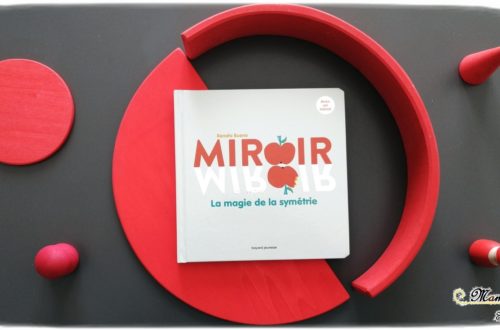 Test et avis livre enfants - Miroir - la magie de la symétrie - bayard jeunesse - jouer avec un miroir - géométrie - manipuler - Livre jeu mathématiques - littérature enfant - mslf