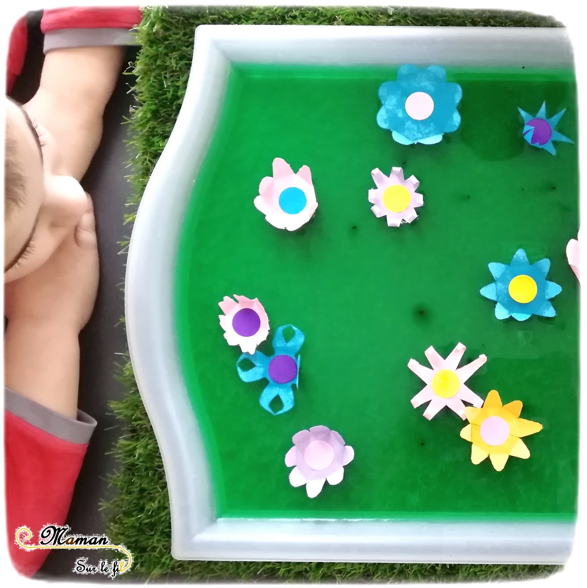 Activité enfants - Faire éclore un champs de fleurs - éclosion - papier - expérience - observation - printemps - rv sur le fil - mslf