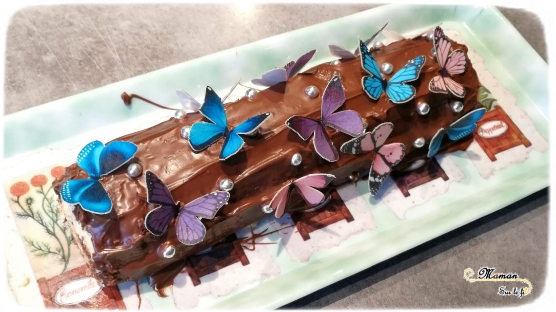 Gâteaux Papillon pour le printemps - idée anniversaire enfants - insectes - ssmarties - chocolat - cake design - mslf