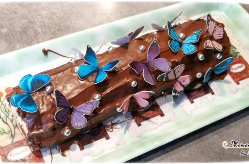 Gâteaux Papillon pour le printemps - idée anniversaire enfants - insectes - ssmarties - chocolat - cake design - mslf