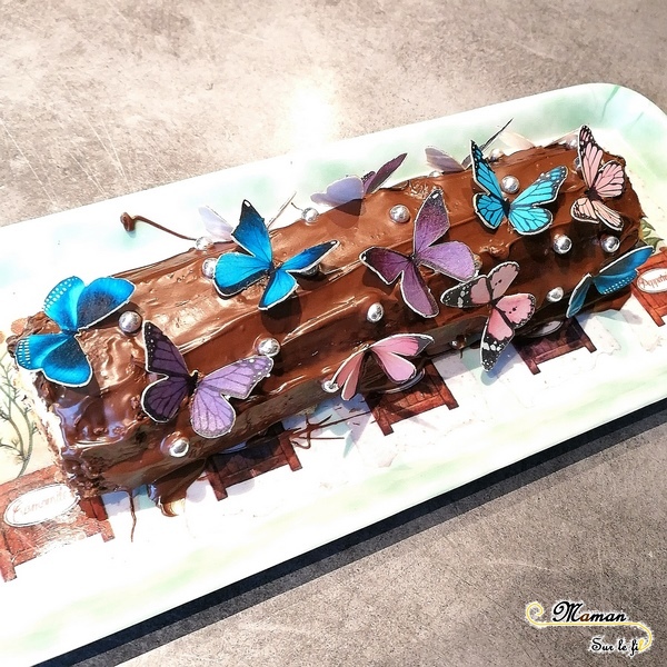 Gâteaux Papillon pour le printemps - idée anniversaire enfants - insectes - ssmarties - chocolat - cake design - mslf