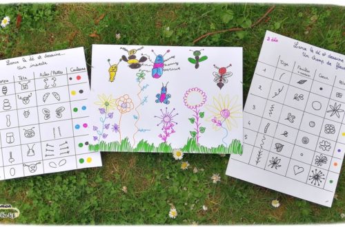 Champ de fleurs et insectes - Dessiner - Je lance le dé je dessine - jeu aux dés - dessin collaboratif - activité enfants - mslf