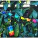 Activité enfants - guirlande et suspension extérieure de glaçons arc-en-ciel - couleurs et mélange - sensoriel - décoration jardin - mslf