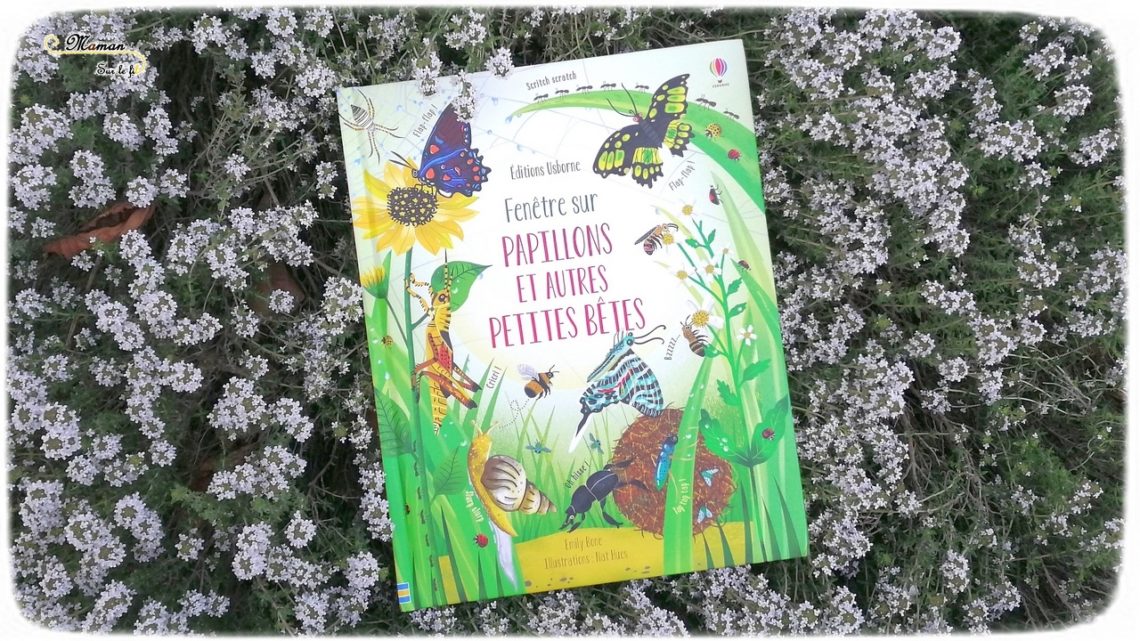 Test et avis livre enfants - Fenêtre sur papillons et petites bêtes Usborne - Livre à rabats - fenêtres - printemps et insectes - littérature enfant - mslf