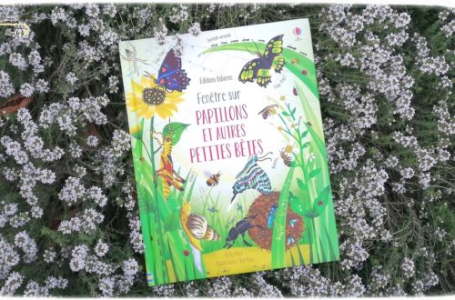 Test et avis livre enfants - Fenêtre sur papillons et petites bêtes Usborne - Livre à rabats - fenêtres - printemps et insectes - littérature enfant - mslf