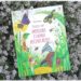 Test et avis livre enfants - Fenêtre sur papillons et petites bêtes Usborne - Livre à rabats - fenêtres - printemps et insectes - littérature enfant - mslf