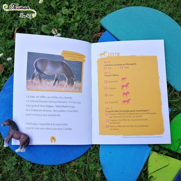 Test et avis livre enfants - Défis Nature - Cheval - Dauphins - Bioviva et Fleurus - Romans Premières lectures - cp - ce1 - Jeux et compréhension - littérature enfant - mslf