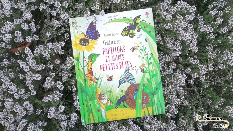 Test et avis livre enfants - Fenêtre sur papillons et petites bêtes Usborne - Livre à rabats - fenêtres - printemps et insectes - littérature enfant - mslf