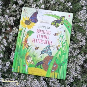 Test et avis livre enfants - Fenêtre sur papillons et petites bêtes Usborne - Livre à rabats - fenêtres - printemps et insectes - littérature enfant - mslf