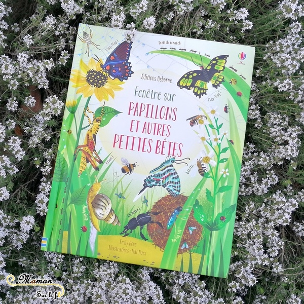 Test et avis livre enfants - Fenêtre sur papillons et petites bêtes Usborne - Livre à rabats - fenêtres - printemps et insectes - littérature enfant - mslf