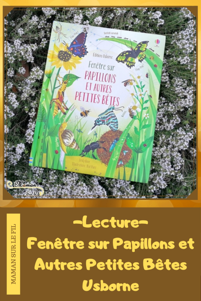 Test et avis livre enfants - Fenêtre sur papillons et petites bêtes Usborne - Livre à rabats - fenêtres - printemps et insectes - littérature enfant - mslf