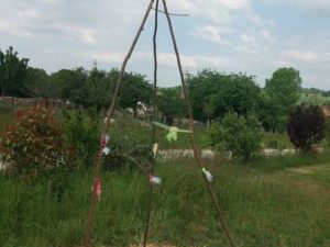 Participations RV Sur Le Fil Mai - Rendez-vous au potager - Fruits et légumes - activités enfants - lecture - jeux - mslf