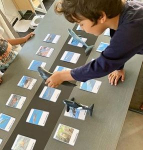 RV Sur le Fil - Juillet - Au bord de la mer - Participations - Activités, lectures, jeux enfants - sélection thème mer, animaux marins, plages - mslf