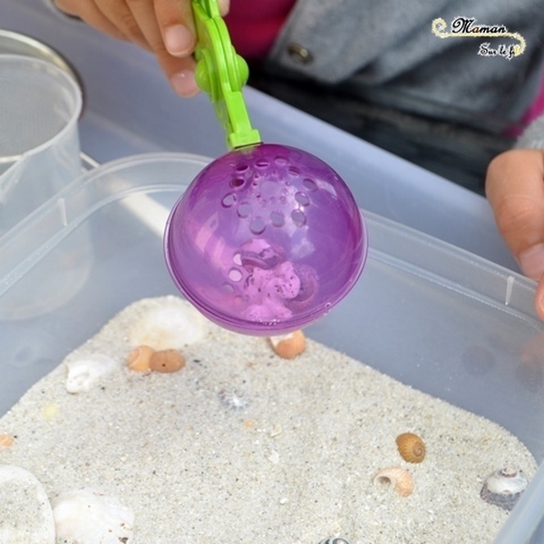 Bac sensoriel Sable et Coquillages - Invitation à jouer et créer été - Plage mer - Activité créative enfants - mslf