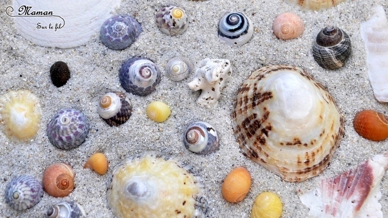 Bac sensoriel Sable et Coquillages - Invitation à jouer et créer été - Plage mer - Activité créative enfants - mslf