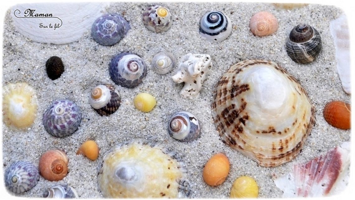 Bac sensoriel de l'été - Invitation à jouer et créer Sable et Coquillages - Plage mer - Activité créative enfants - mslf