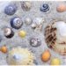 Bac sensoriel de l'été - Invitation à jouer et créer Sable et Coquillages - Plage mer - Activité créative enfants - mslf