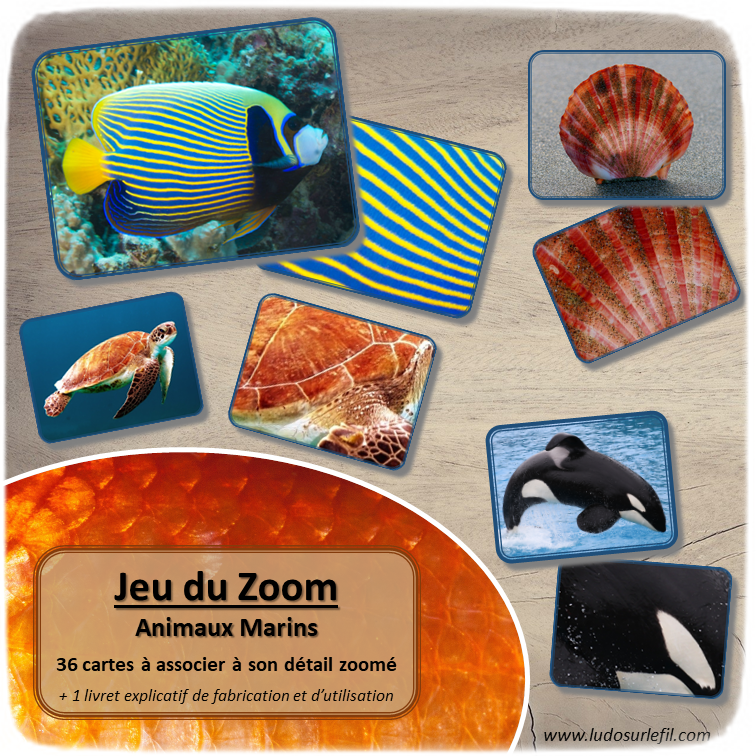 Jeu du zoom - animaux marins - Imprimé, plastifié et découpé - mer - cartes à associer aux détails - atelier maternelle - Eté - lslf