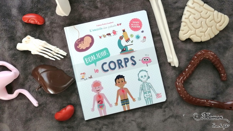 Test et avis livre enfants - L'encyclo des petiots - Bonjour le corps ! de Langue au chat - Corps humain - Livre, documentaire à rabats - fenêtres - littérature enfant - mslf