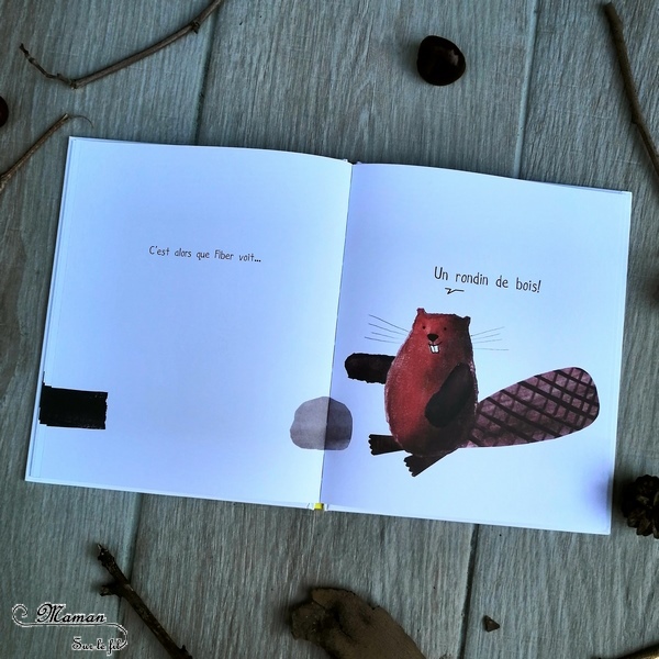 Livres Enfants - Nouveautés Maison éditions D'Eux - La petite bûche : humour et jeux de mots - Le garçon invisible : timidité, émotions, discrétion école - C'est à moi : partage et dispute - test et avis - mslf