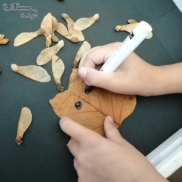 Land Art d'automne - Art éphémère avec des feuilles mortes, des samares, des rondins de bois, des batons - Lion, hérisson, soleil, étoile - activité créative enfants - Arts visuels et créativité maternelle - mslf