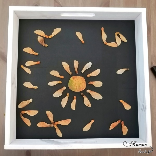 Land Art d'automne - Art éphémère avec des feuilles mortes, des samares, des rondins de bois, des batons - Lion, hérisson, soleil, étoile - activité créative enfants - Arts visuels et créativité maternelle - mslf