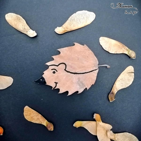 Land Art d'automne - Art éphémère avec des feuilles mortes, des samares, des rondins de bois, des batons - Lion, hérisson, soleil, étoile - activité créative enfants - Arts visuels et créativité maternelle - mslf