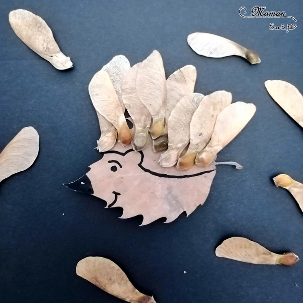 Land Art d'automne - Art éphémère avec des feuilles mortes, des samares, des rondins de bois, des batons - Lion, hérisson, soleil, étoile - activité créative enfants - Arts visuels et créativité maternelle - mslf