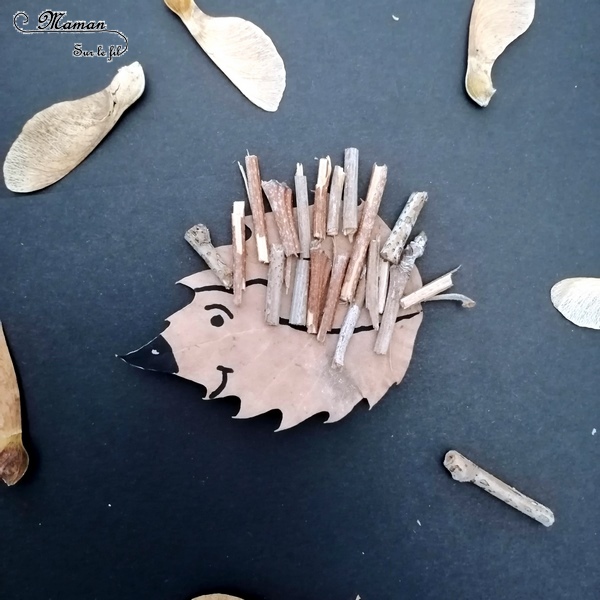 Land Art d'automne - Art éphémère avec des feuilles mortes, des samares, des rondins de bois, des batons - Lion, hérisson, soleil, étoile - activité créative enfants - Arts visuels et créativité maternelle - mslf