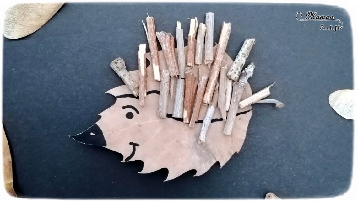 Land Art d'automne - Art éphémère avec des feuilles mortes, des samares, des rondins de bois, des batons - Lion, hérisson, soleil, étoile - activité créative enfants - Arts visuels et créativité maternelle - mslf