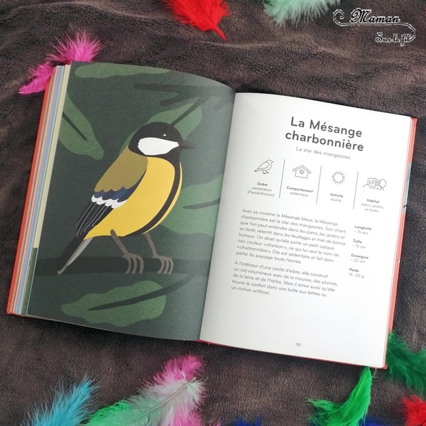 Livre enfants - Documentaire et imagier sur les oiseaux : Ornithorama des éditions Helvetiq - Encyclopédie diaporama des oiseaux communs - comment les reconnaitre - observation - avis et test - mslf