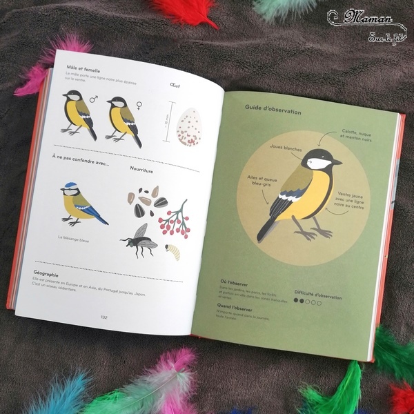 Livre enfants - Documentaire et imagier sur les oiseaux : Ornithorama des éditions Helvetiq - Encyclopédie diaporama des oiseaux communs - comment les reconnaitre - observation - avis et test - mslf